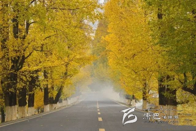 康定新都橋，有一條黃金大道通往夢中的天堂