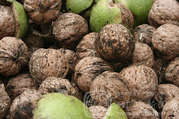 西部太陽(yáng)谷 得榮原生態(tài)美食 西部太陽(yáng)谷 得榮原生態(tài)美食