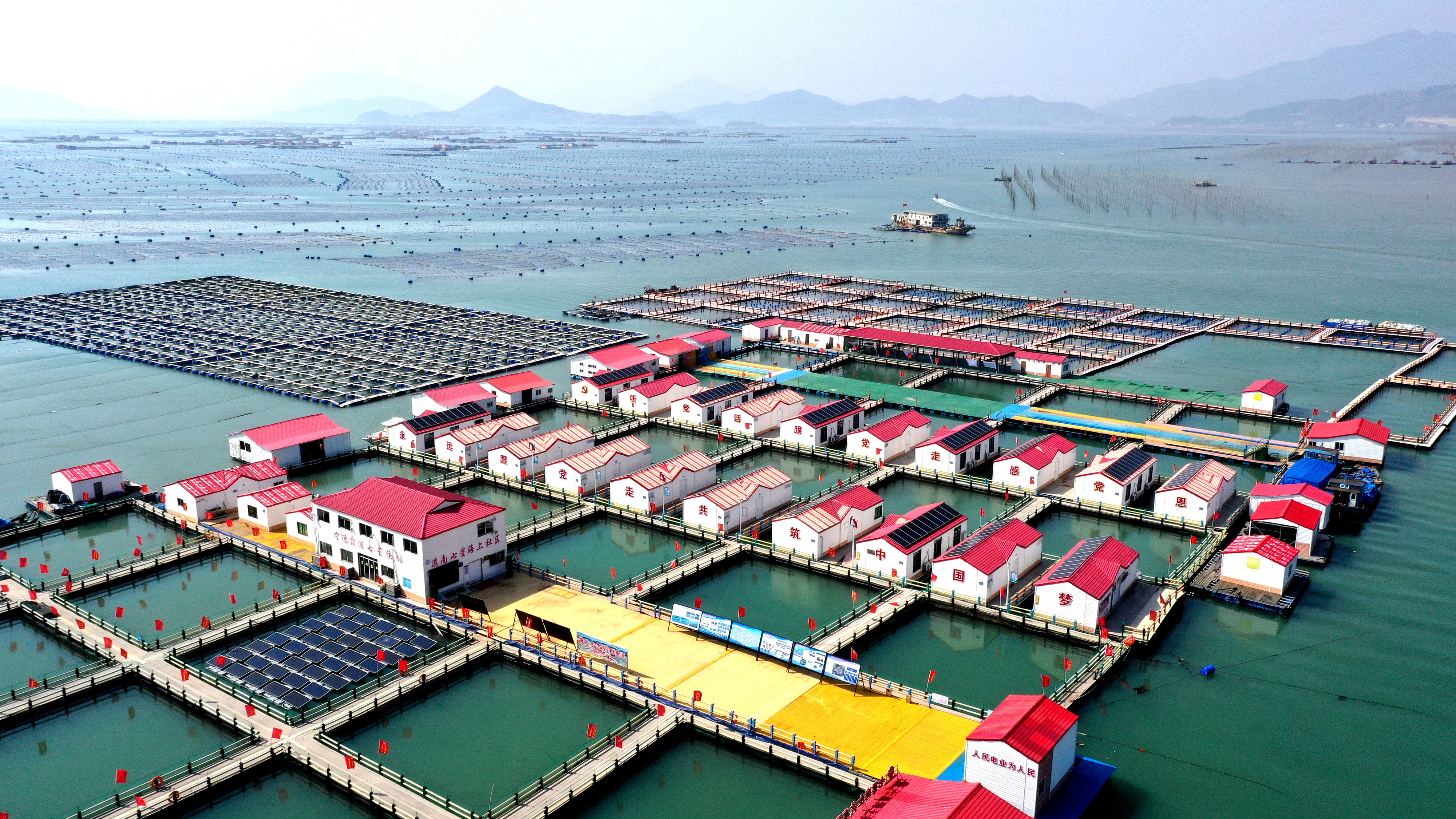 2024年3月20日，福建省寧德市，霞浦縣溪南鎮(zhèn)七星村漁排養(yǎng)殖示范區(qū)，漁民駕駛養(yǎng)殖船進行海參養(yǎng)殖作業(yè)。