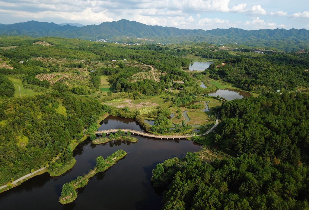 福建省龍巖市長汀縣的長汀汀江國家濕地公園景色（2020年7月28日攝，無人機照片）。新華社記者 魏培全 攝