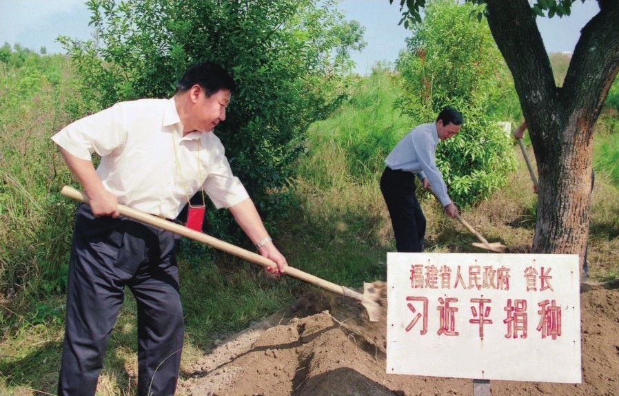 2001年10月，習近平在龍巖市長汀縣調(diào)研水土流失治理工作，在河田世紀生態(tài)園為樹培土。圖源：《習近平在福建（下）》