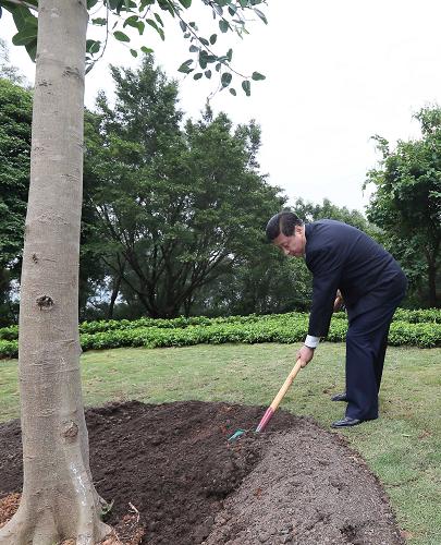 2012年12月7日至11日，習近平在廣東省考察工作。這是8日上午，習近平在深圳蓮花山公園種下一棵高山榕樹。新華社記者 蘭紅光 攝