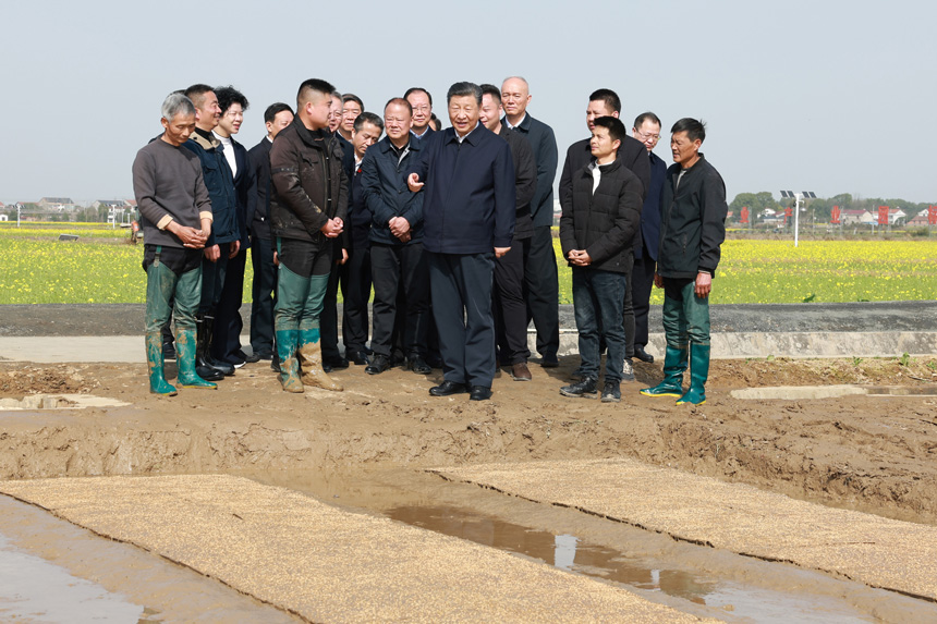 2024年3月18日至21日，中共中央總書(shū)記、國(guó)家主席、中央軍委主席習(xí)近平在湖南考察。這是19日下午，習(xí)近平在常德市鼎城區(qū)謝家鋪鎮(zhèn)港中坪村走進(jìn)田間，察看秧苗培育和春耕備耕進(jìn)展。新華社記者 王曄 攝